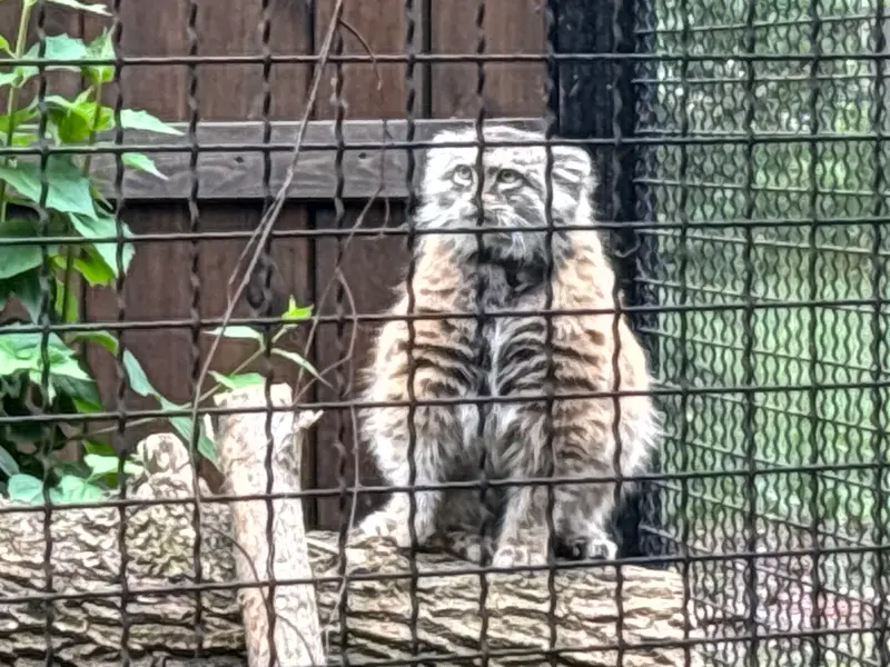 A photograph of Jessie in Warsaw Zoo