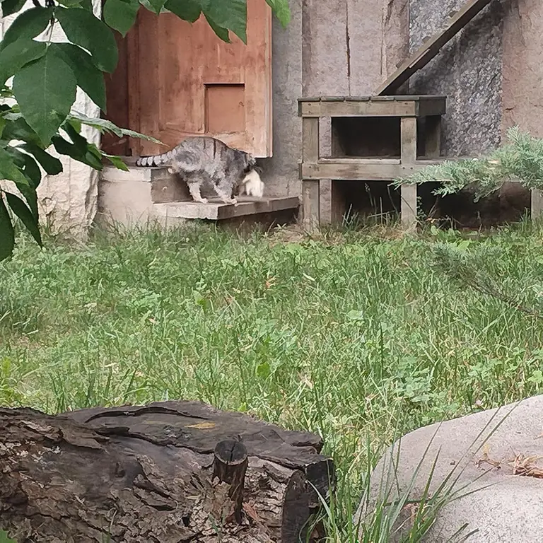 A photograph of Timofey in Moscow zoo
