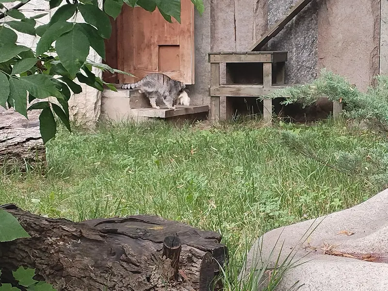 A photograph of Timofey in Moscow zoo