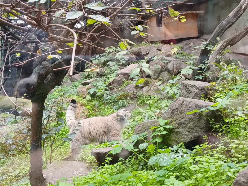 A photograph of Bohus in Budapest Zoo &amp; Botanical Garden