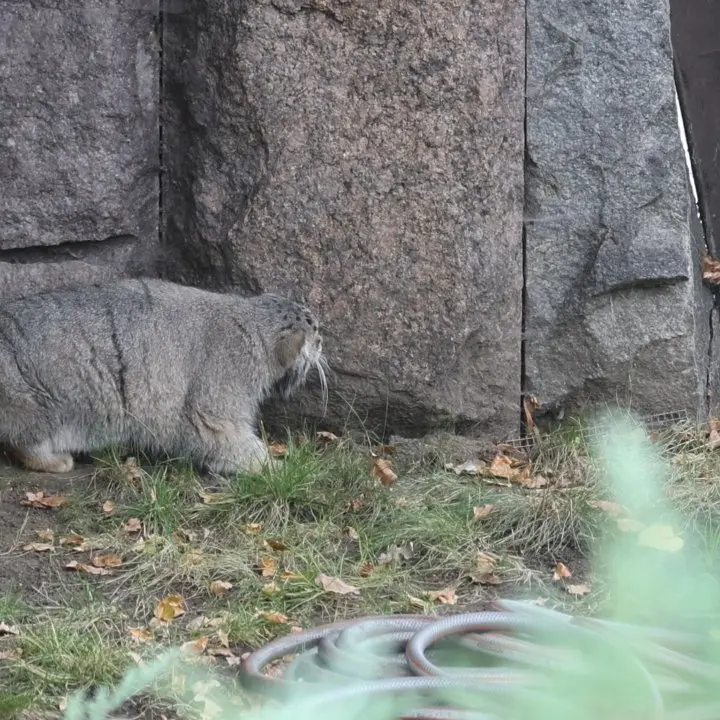 A photograph of Timofey in Moscow zoo