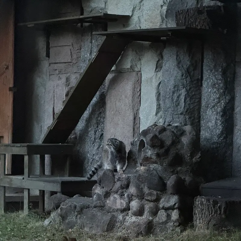 A photograph of Timofey in Moscow zoo