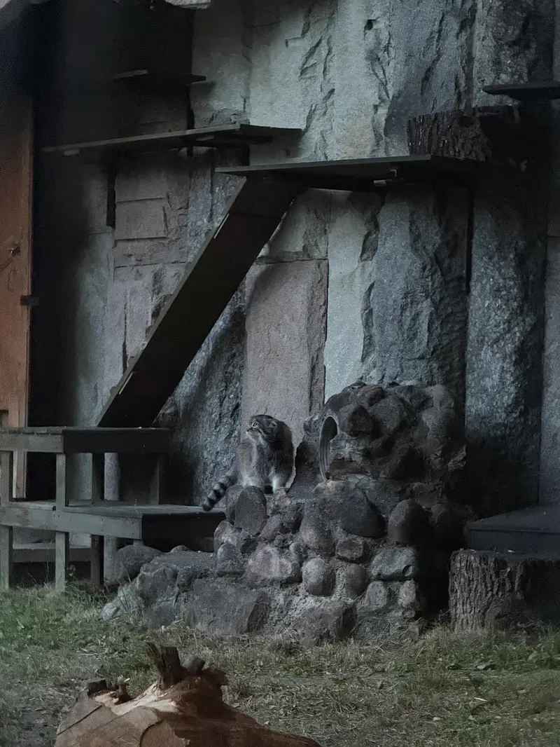 A photograph of Timofey in Moscow zoo