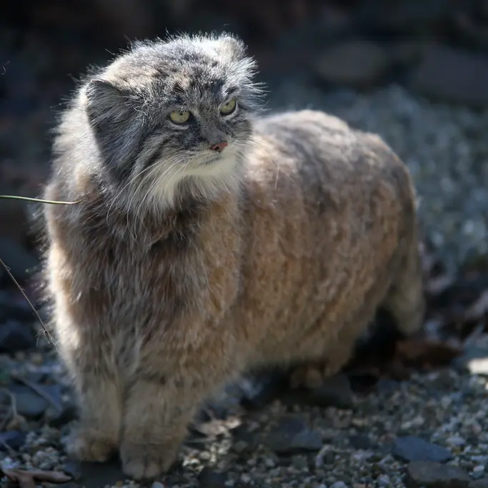 A photograph of Moira in Ostrava Zoo