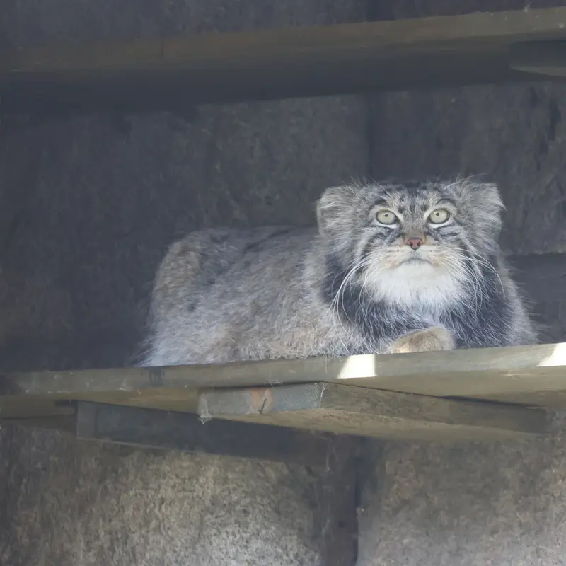 A photograph of Timofey in Moscow zoo