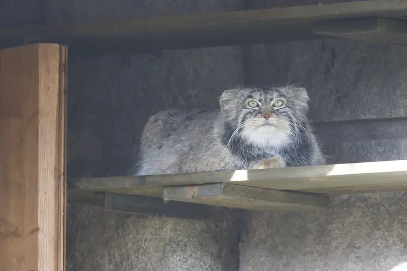 A photograph of Timofey in Moscow zoo