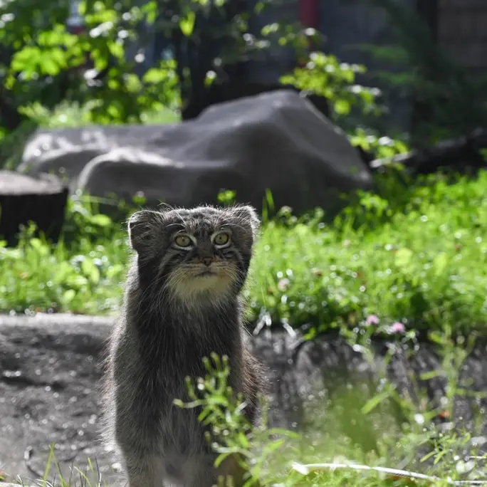 A photograph of Timofey in Moscow zoo