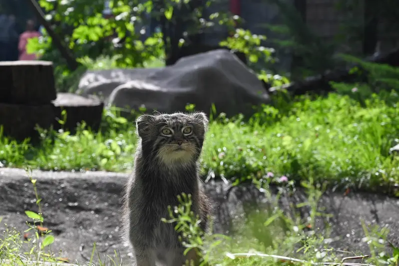 A photograph of Timofey in Moscow zoo