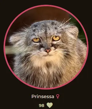 Queen Prinsessa is almost at 100 likes!