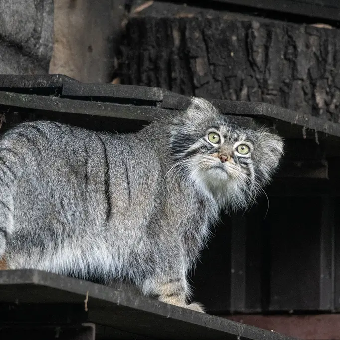 A photograph of Timofey in Moscow zoo