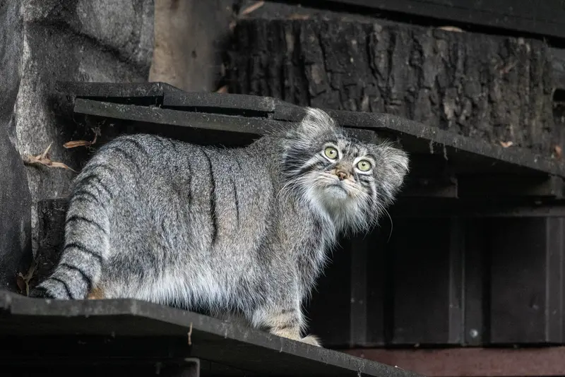 A photograph of Timofey in Moscow zoo