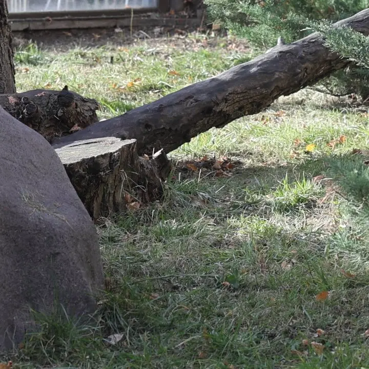 A photograph of Timofey in Moscow zoo