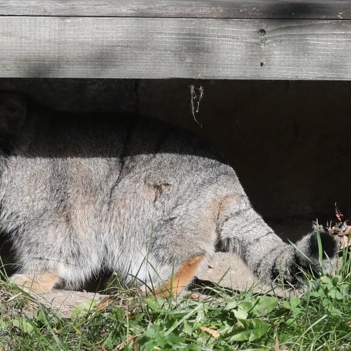 A photograph of Timofey in Moscow zoo