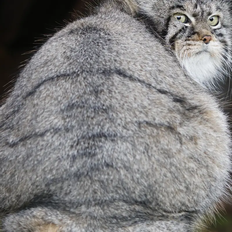 A photograph of Timofey in Moscow zoo
