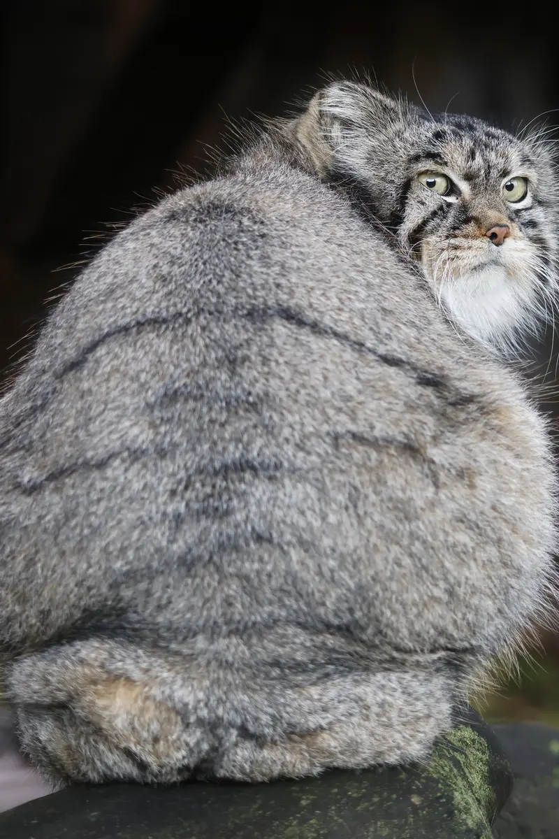 A photograph of Timofey in Moscow zoo