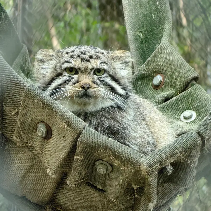 A photograph of Anya in Novosibirsk Zoo