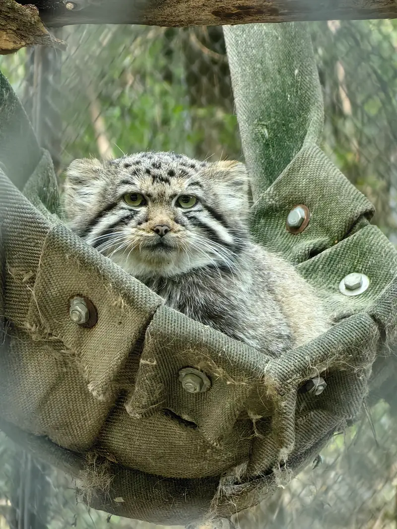 A photograph of Anya in Novosibirsk Zoo