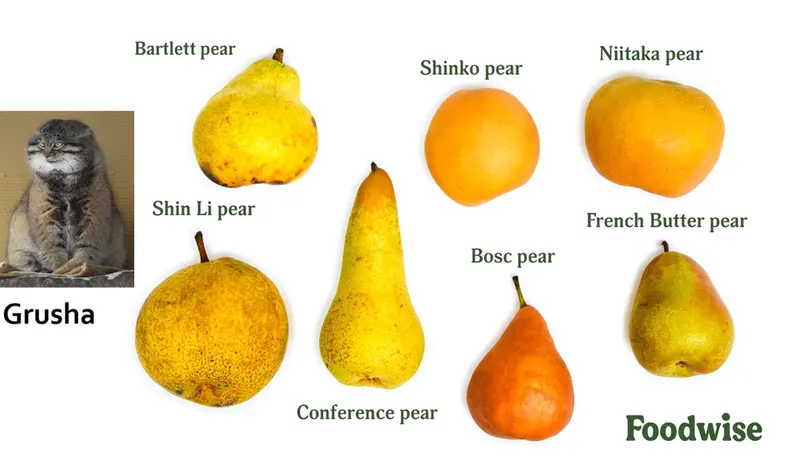 A photograph of Grusha