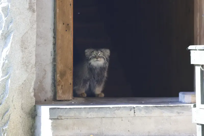 A photograph of Timofey in Moscow zoo