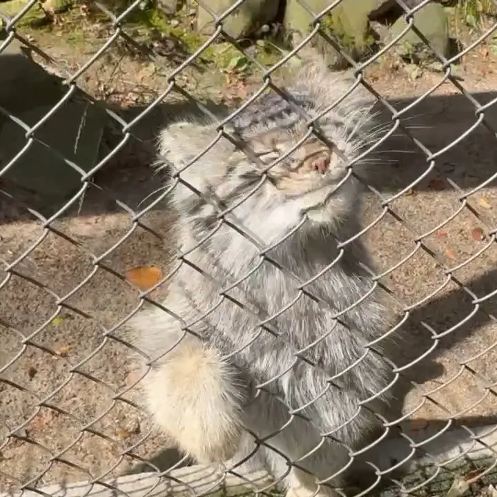 A photograph of Bozenka in Poznan New Zoo