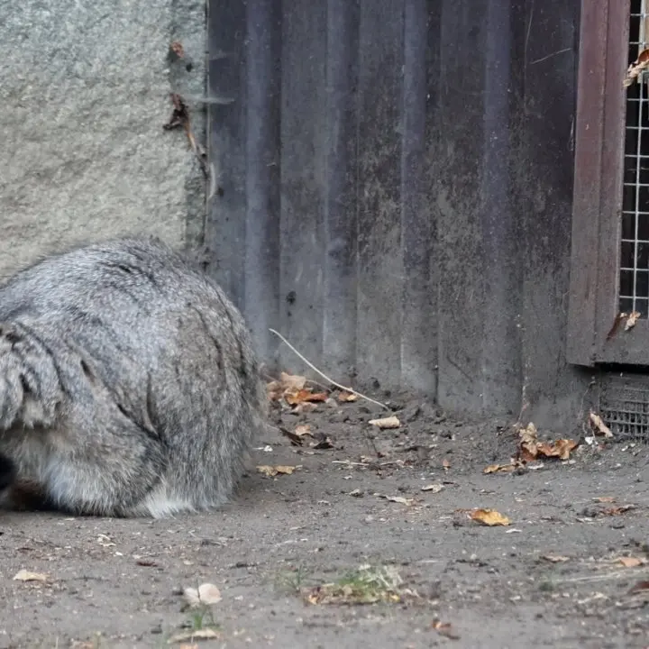A photograph of Timofey in Moscow zoo