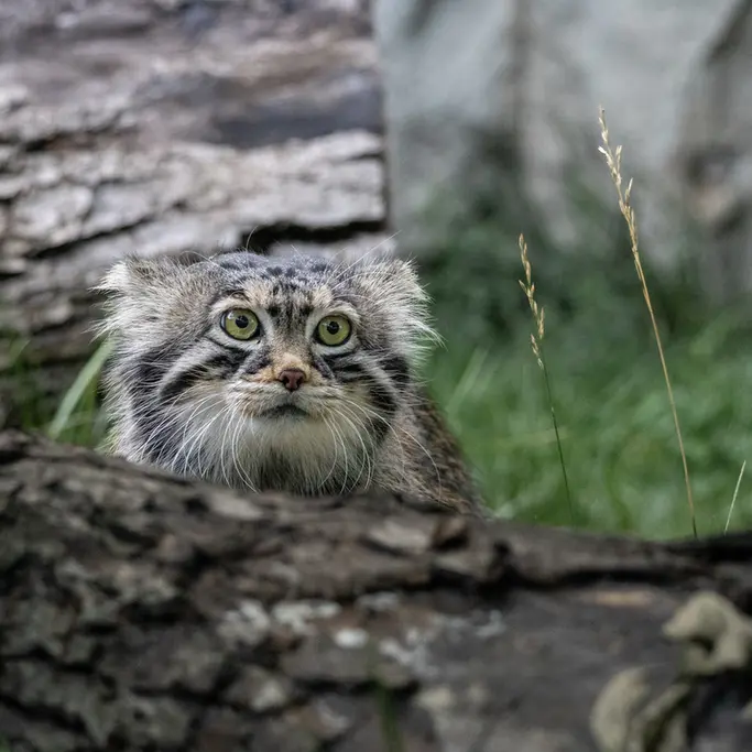 A photograph of Timofey in Moscow zoo