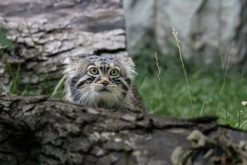 A photograph of Timofey in Moscow zoo