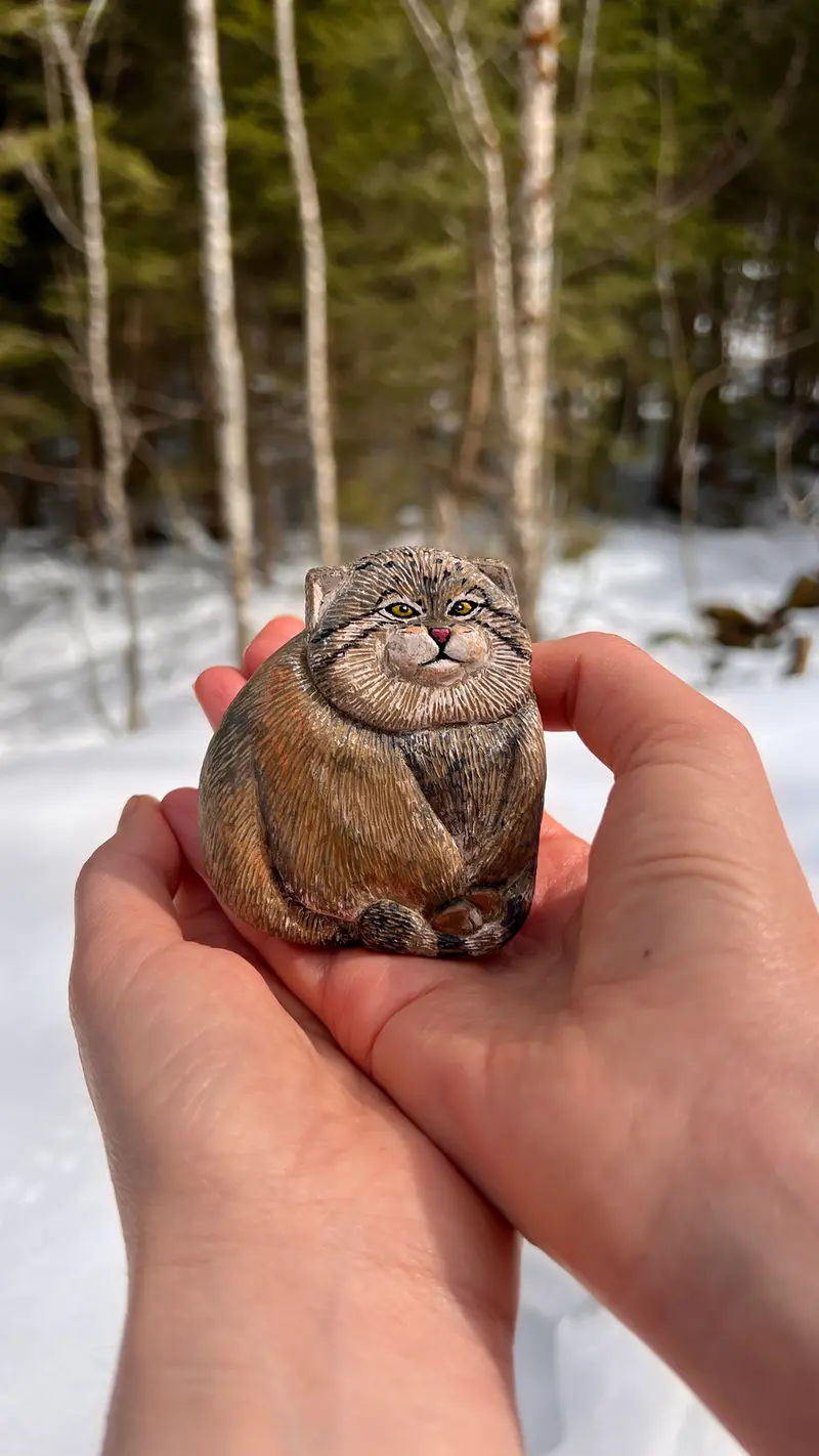 A photograph of a Pallas's cat