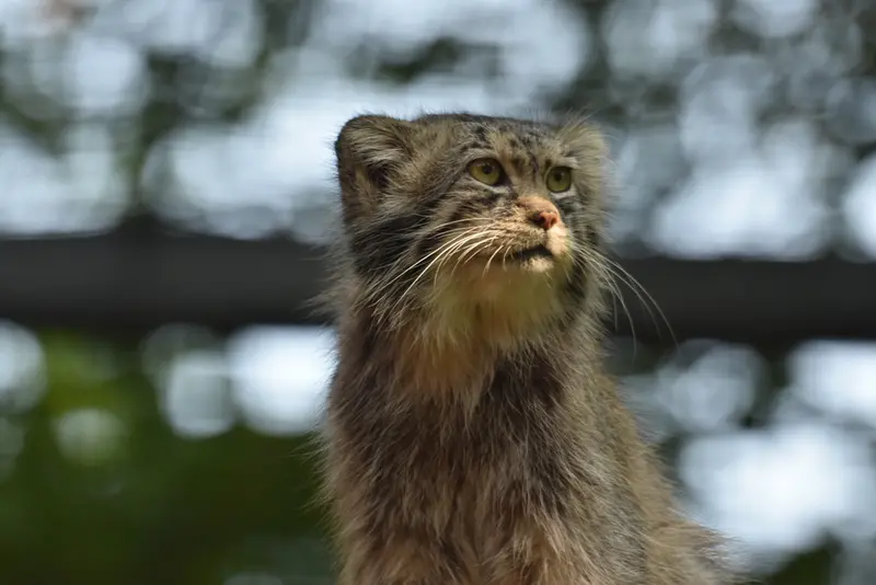 A photograph of Manuel in Gdansk Zoo