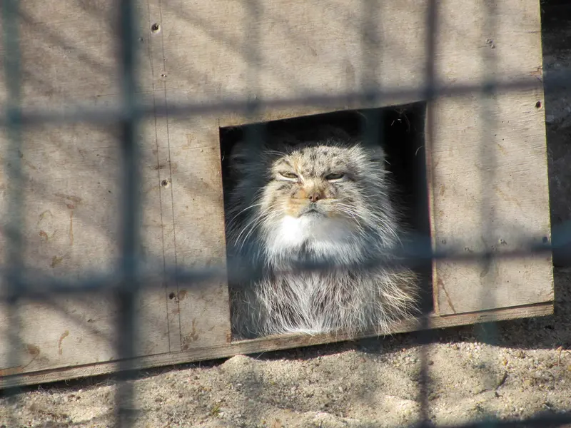 A photograph of Manuela in Magdeburg Zoo