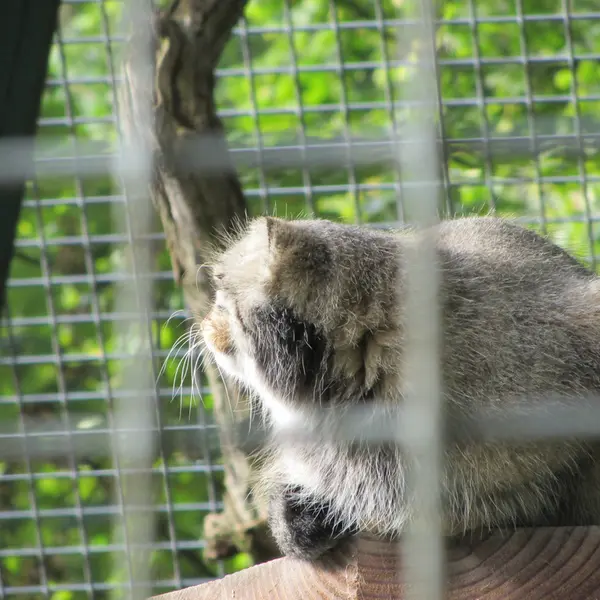 A photograph of Karl-Heinz in Saarbrücken Zoo
