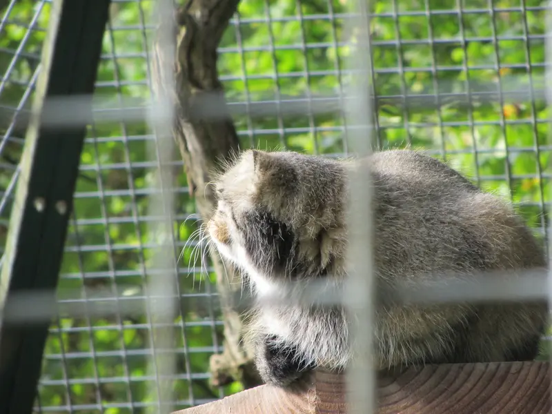 A photograph of Karl-Heinz in Saarbrücken Zoo