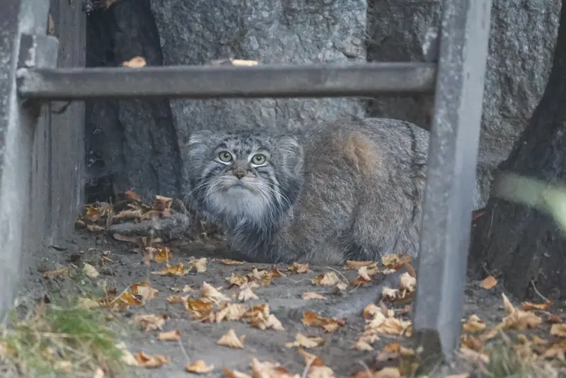 A photograph of Timofey in Moscow zoo