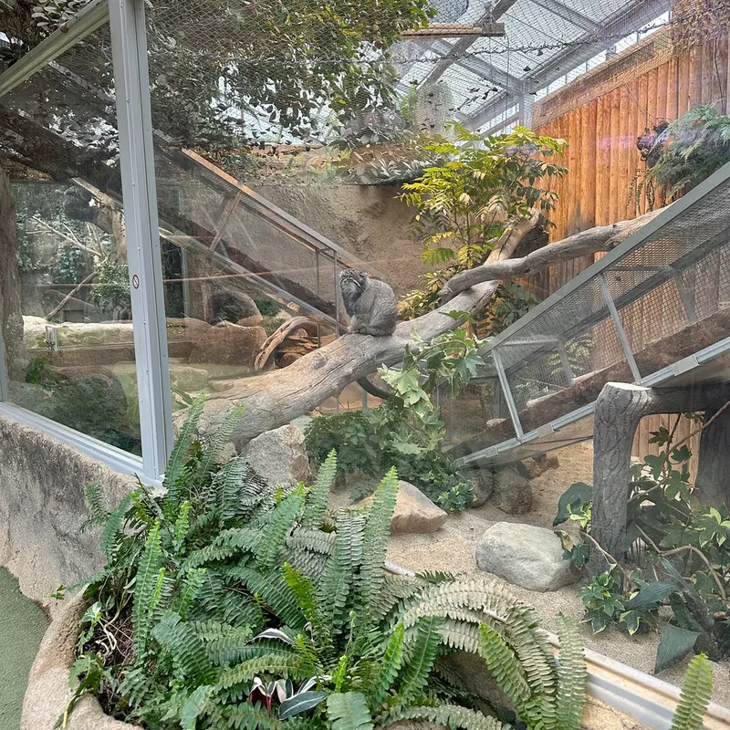 A photograph of Nar in Kobe Animal Kingdom