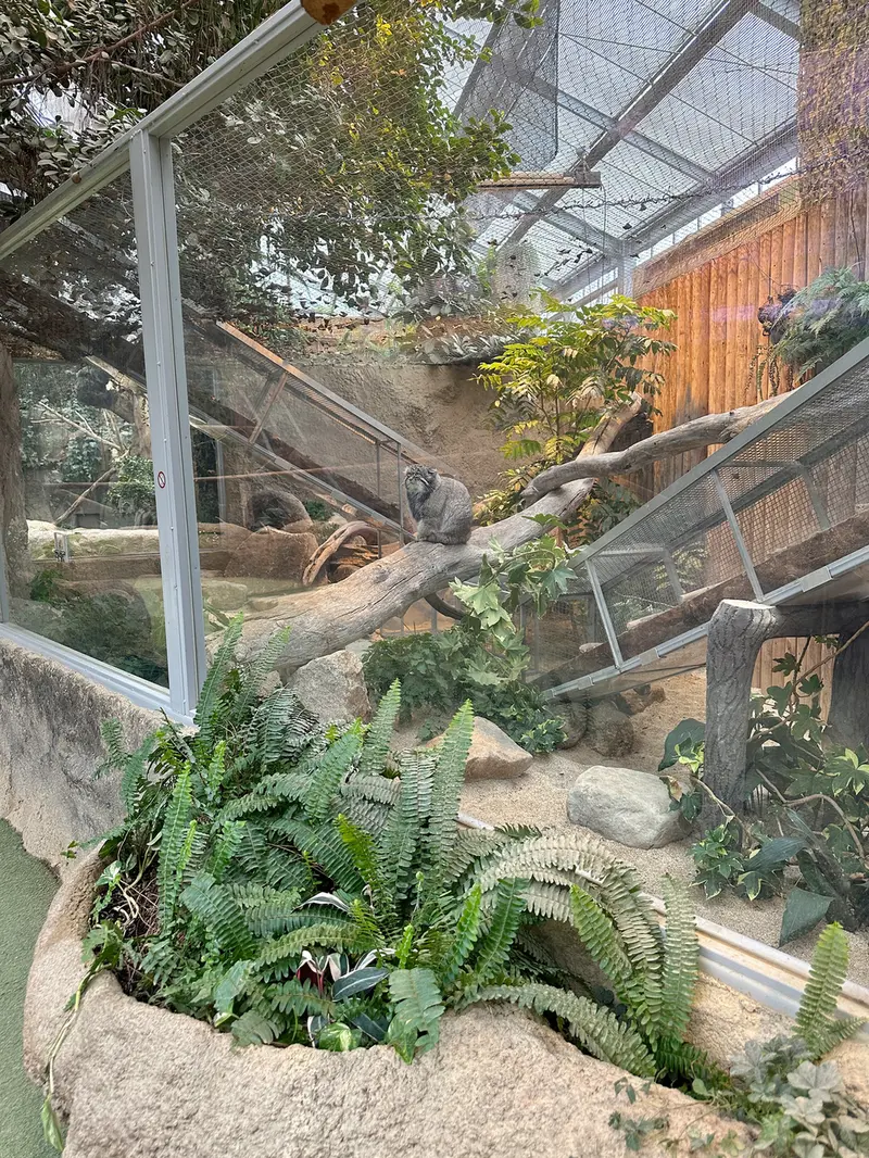 A photograph of Nar in Kobe Animal Kingdom
