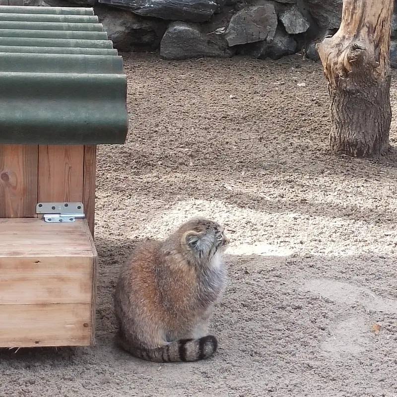 A photograph of Anya in Novosibirsk Zoo