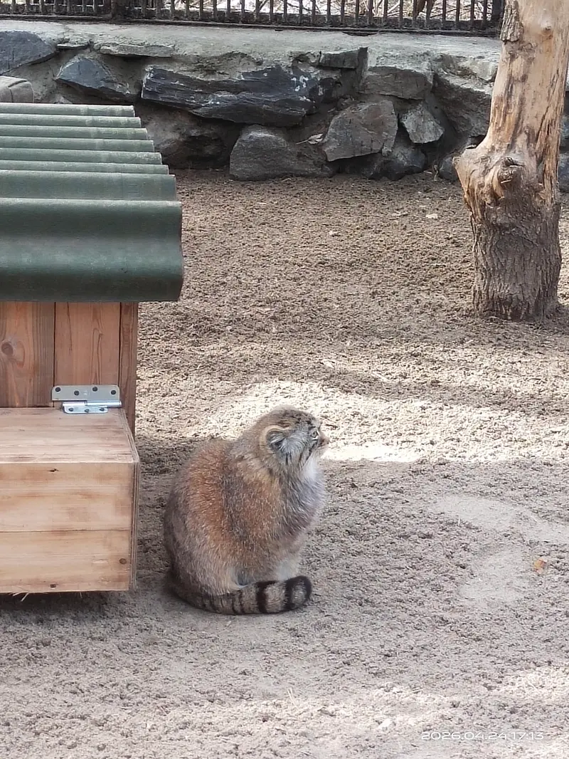A photograph of Anya in Novosibirsk Zoo