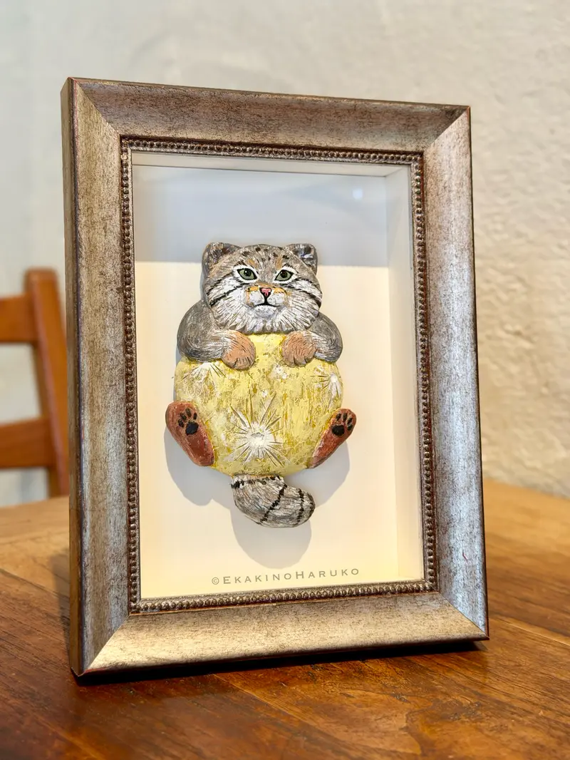 A photograph of a Pallas's cat