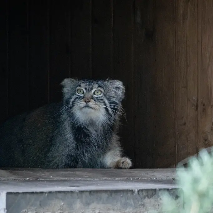 A photograph of Timofey in Moscow zoo