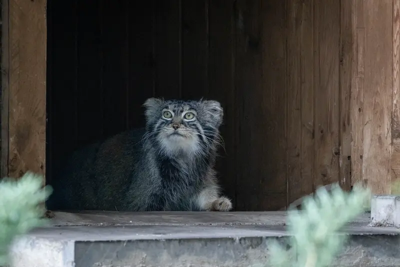 A photograph of Timofey in Moscow zoo