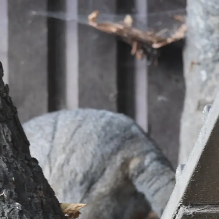 A photograph of Timofey in Moscow zoo