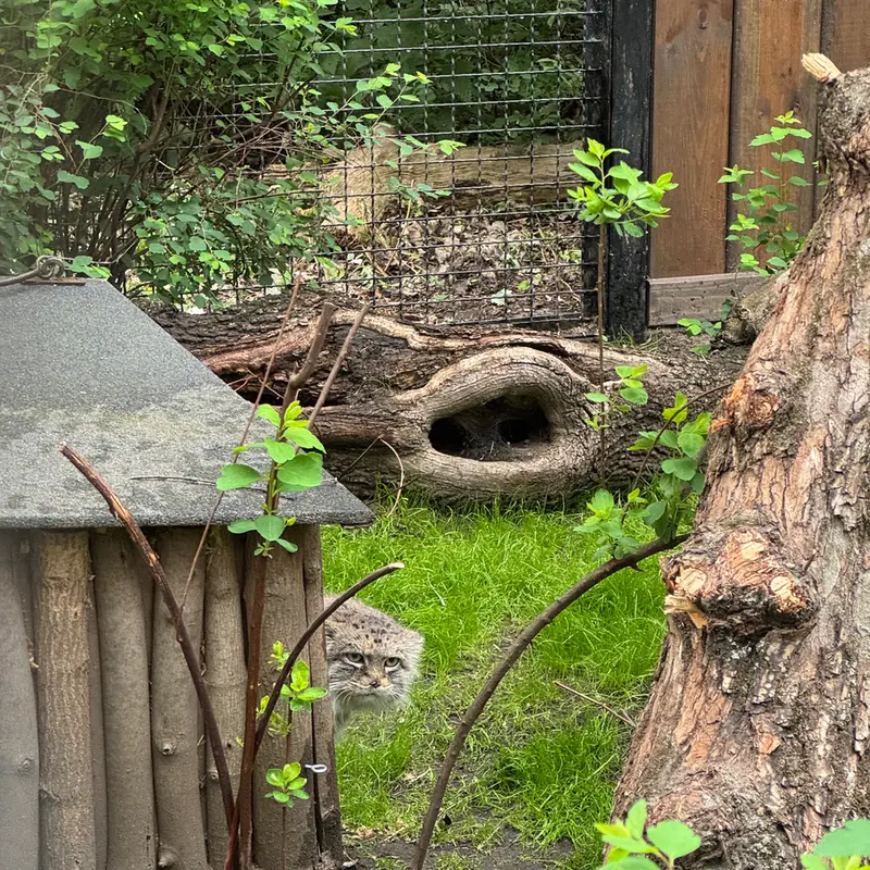 A photograph of Jessie in Warsaw Zoo