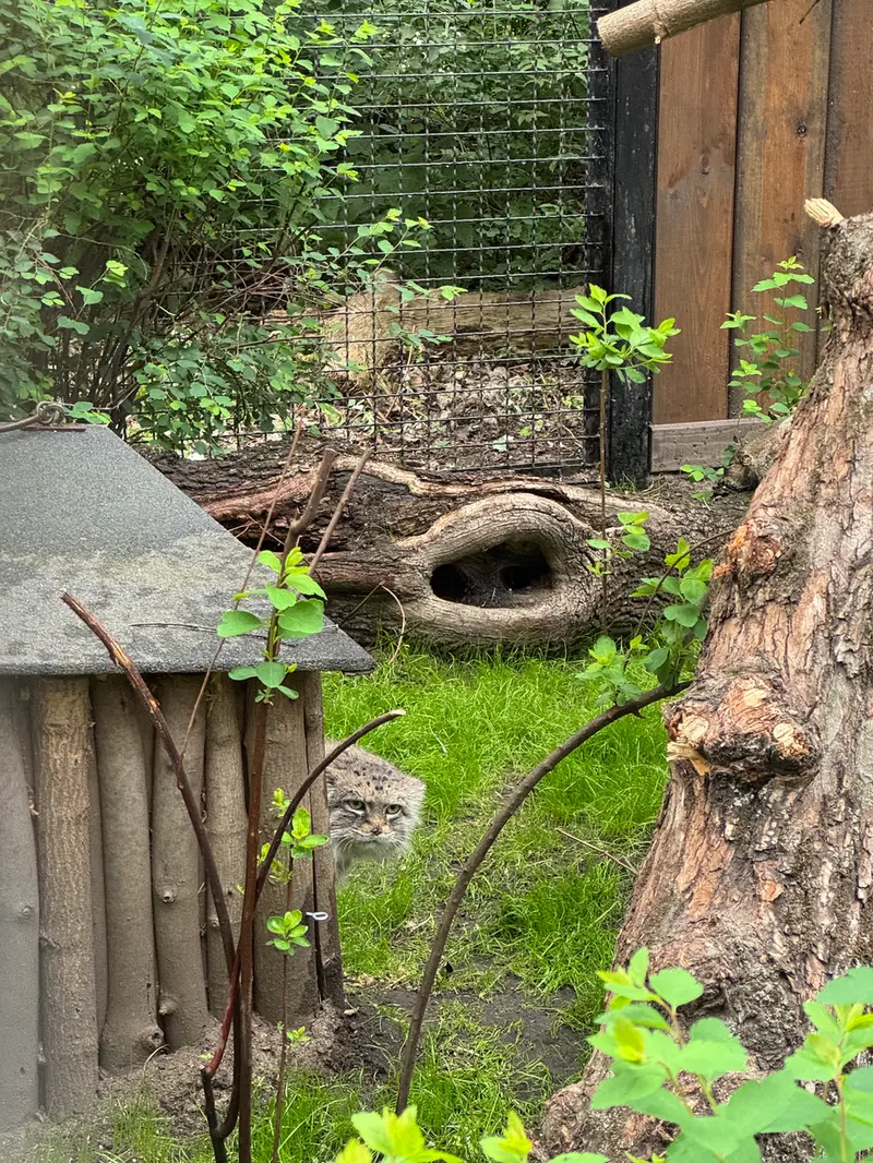 A photograph of Jessie in Warsaw Zoo