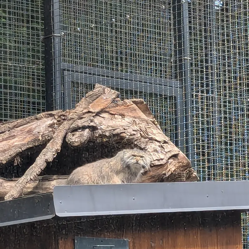 A photograph of Melissa in Lithuanian Zoo