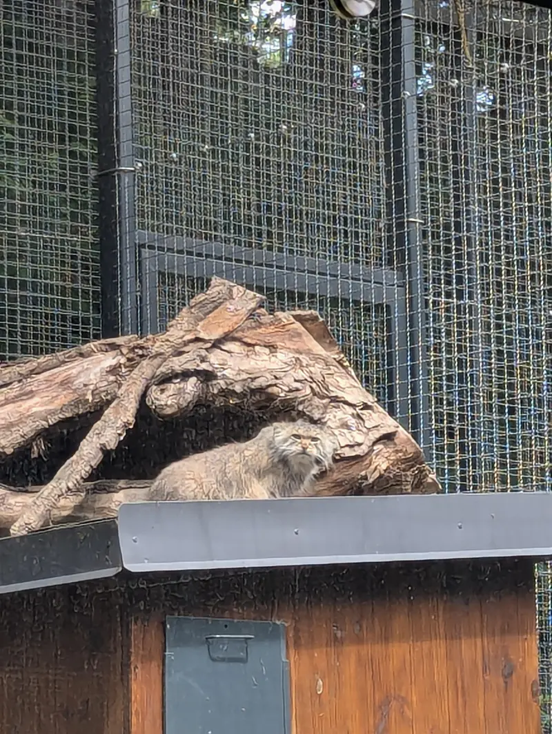 A photograph of Melissa in Lithuanian Zoo