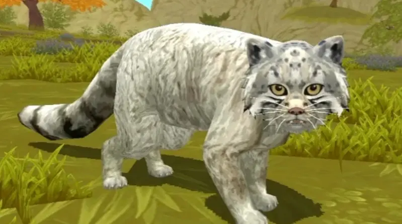 A photograph of a Pallas's cat