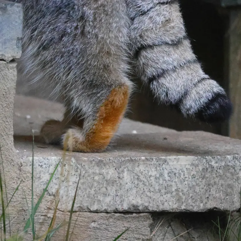 A photograph of Timofey in Moscow zoo