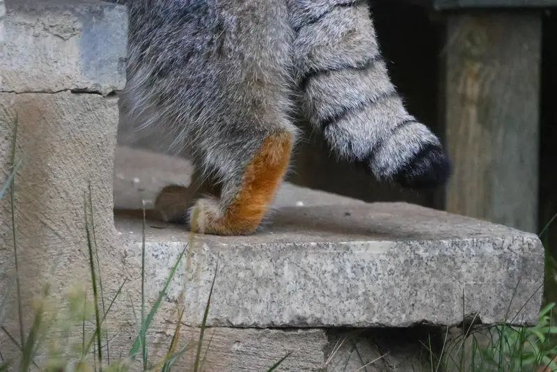 A photograph of Timofey in Moscow zoo