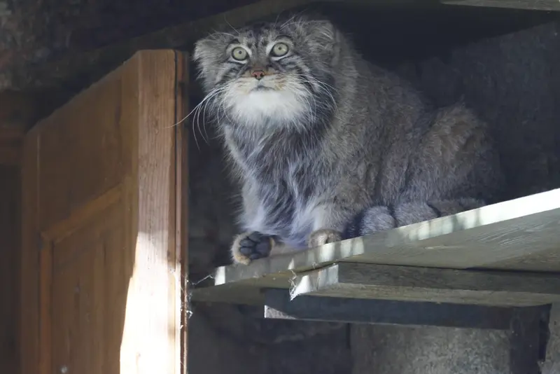 A photograph of Timofey in Moscow zoo