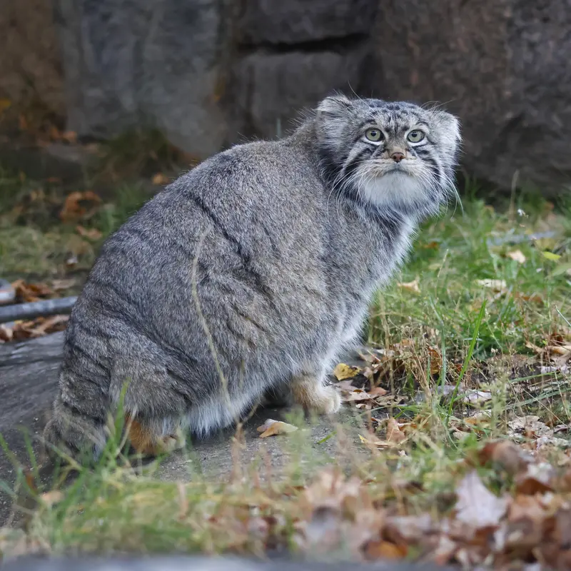 A photograph of Timofey in Moscow zoo
